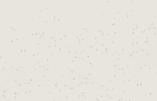 Cricut Permanent Frosted Vinyl