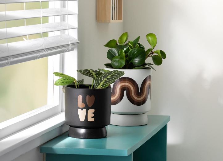Cricut Premium Vinyl Permanent (Hudton)