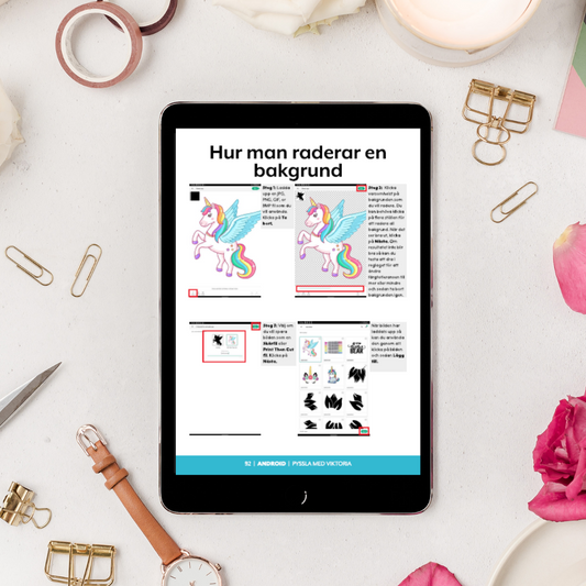 Den Ultimata Guiden till Cricut Design Space (Ebok)